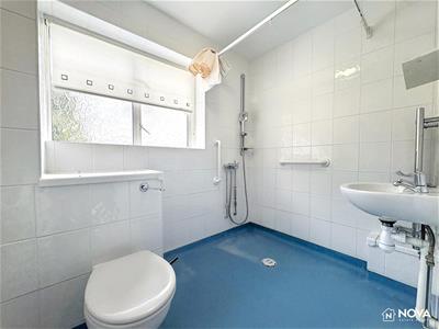 Picture 15